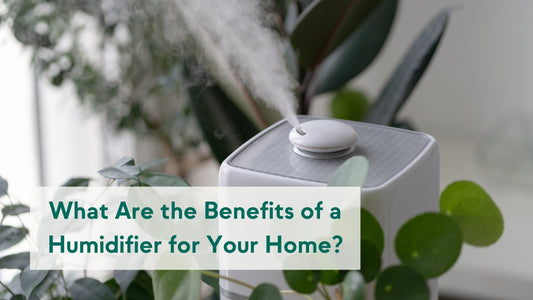 What Are the Benefits of a Humidifier for Your Home?