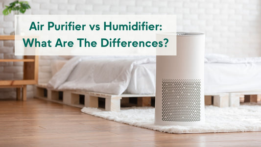 Air Purifier vs Humidifier: Choose the Right Device for Your Home and Health