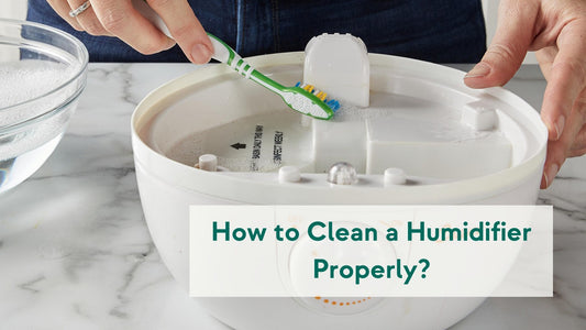 How to Clean a Humidifier Properly?