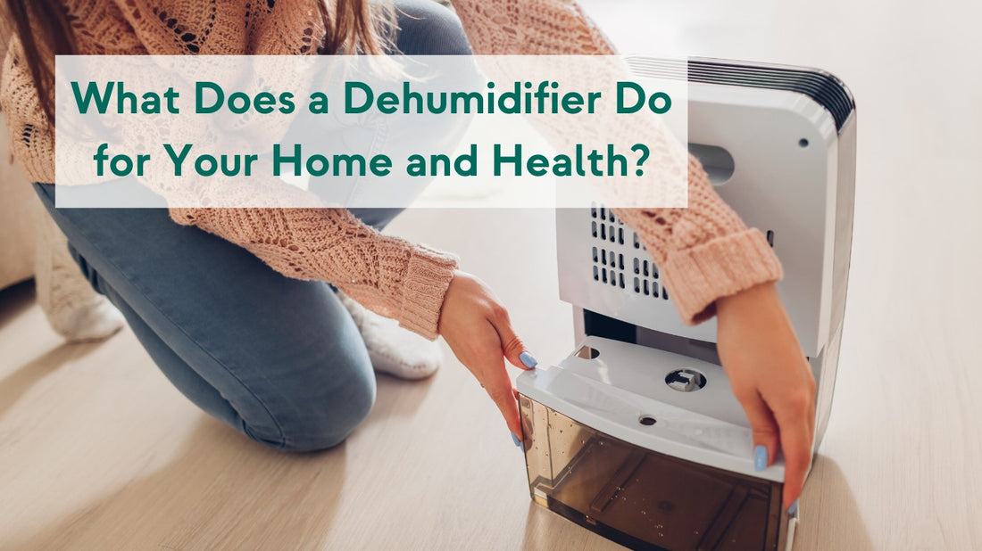 What Does a Dehumidifier Do for Your Home and Health?