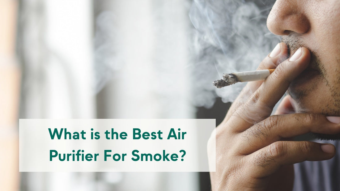 What is the Best Air Purifier For Smoke?