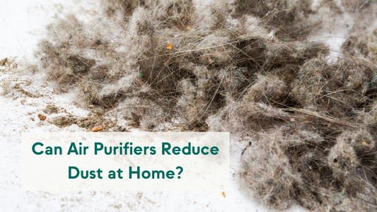 Can Air Purifiers Reduce Dust at Home?