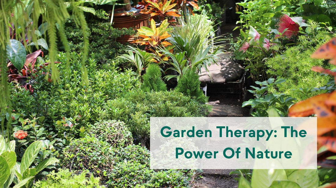 Garden Therapy The Power Of Nature