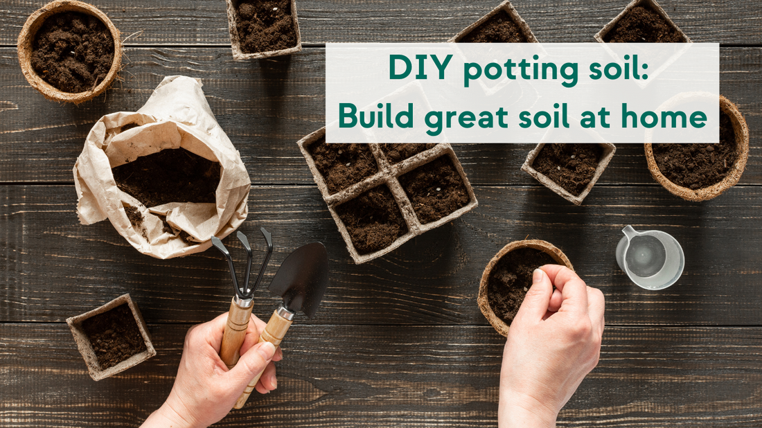 DIY potting soil: Simple ways to get great soil at home