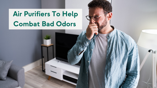 Air Purifiers for Smell Can Help You Combat Bad Odors