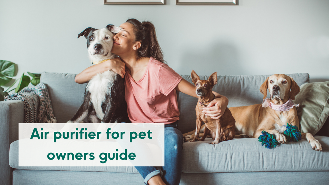 The Ultimate Guide to Choosing the Best Air Purifier for Pet Owners