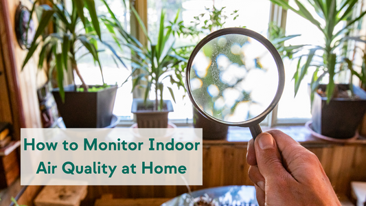 How to Monitor Indoor Air Quality (IAQ) at Home