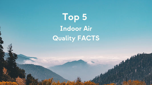 5 Facts about home air quality that are making you sick - air quality, health