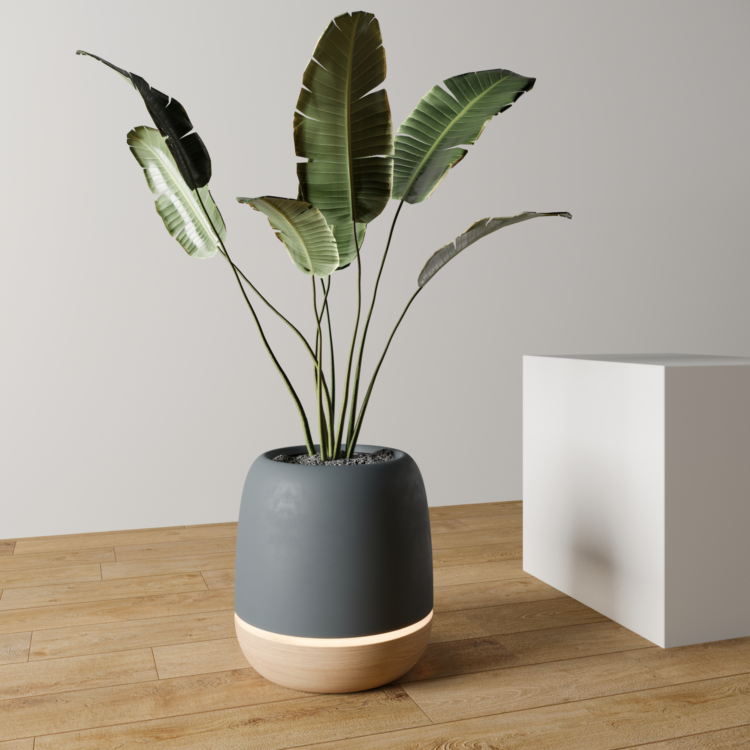 koru- the sleek air purifier and plant pot